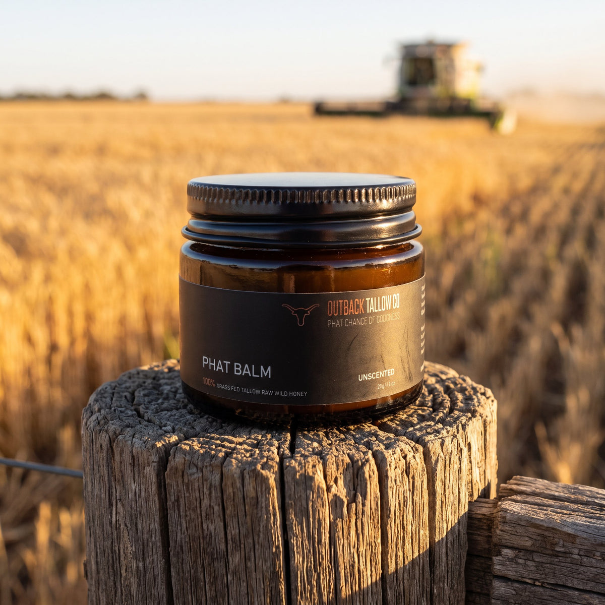 PHAT Balm jar on a fence post with a harvester in a golden wheat paddock (AI-generated image)