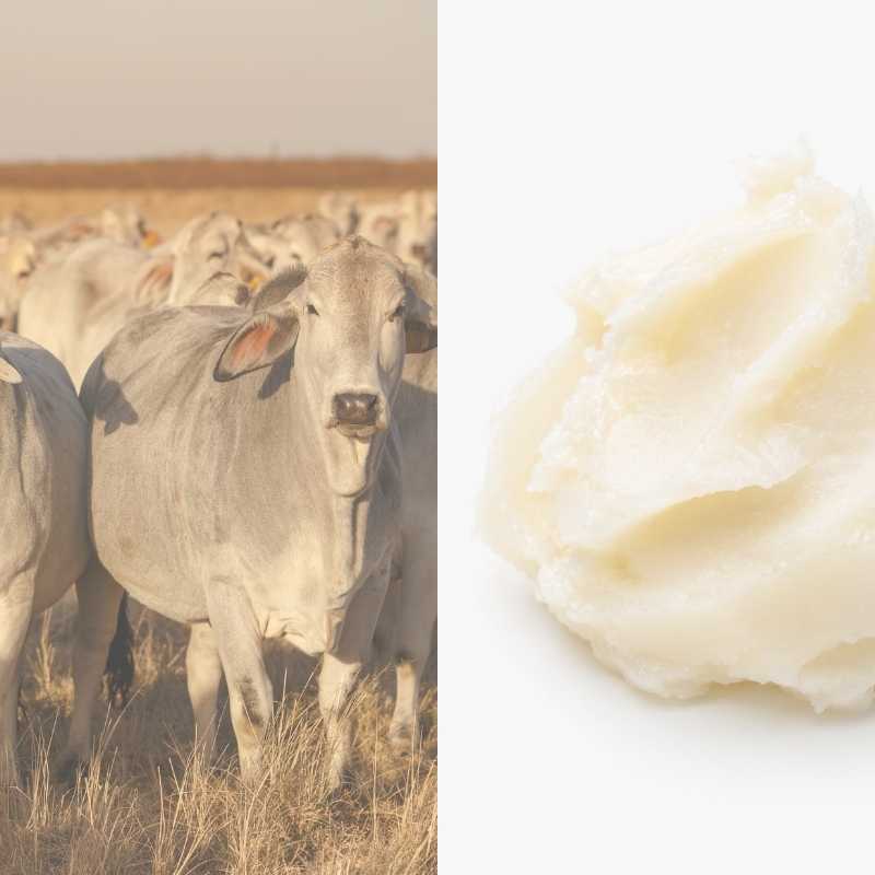 What Is Beef Tallow, And Why Is Everyone Putting It On Their Skin?